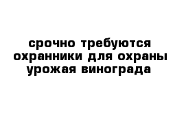 срочно требуются охранники для охраны урожая винограда